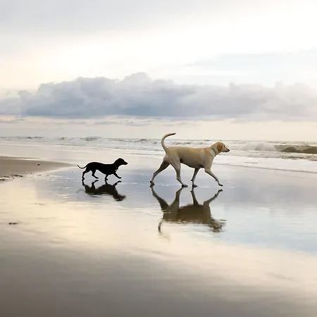 Σπίτι διακοπών Nantucket - Part Of The The Bay Village With Pool, Gym And Direct Access, Pub, Restaurant, Tennis And Meadows Walks Filey